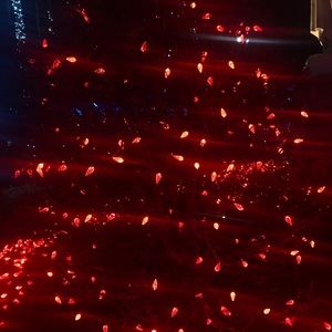 Meet your Posher, Carissa